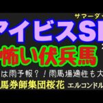 エルコンドル氏のアイビスサマーダッシュ2024怖い伏兵馬！！夏の風物詩新潟1000mの一戦だが週末のお天気は下り坂？！雨馬場も考慮した面白い馬がいる！