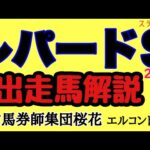 エルコンドル氏のレパードステークス2024出走馬解説！！ミッキーファイト中心もなんと抽選対象馬が12頭！実力差は不明？！