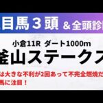 【2024競馬予想】釜山ステークス｜前走は大きな不利が2回あって不完全燃焼だった快速馬に注目！