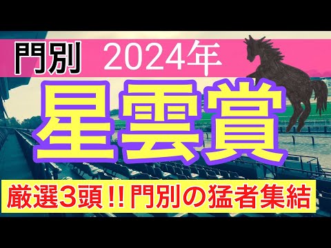 【星雲賞2024】地方競馬予想(2024年競馬予想258戦160的中)