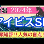 【アイビスサマーダッシュ2024】競馬予想(2024年競馬予想272戦168的中)