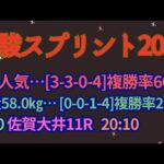 優駿スプリント2024予想【大井競馬】4枠は過去10年で2勝。複勝率35%[2-3-2-13]AI予想＋調教診断＋買い目