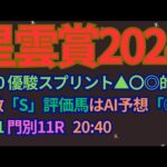 星雲賞2024予想【ホッカイドウ競馬】最強スプリンターへ視界良好。AI予想＋調教診断＋買い目