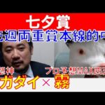 【七夕賞2024】先週両メイン重賞的中！「スガダイ」×プロ予想MAX四天王「霧」の注目馬大公開！