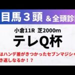 【2024テレQ杯】競馬予想｜前走はハンデ差がきつかったセブンマジシャンの巻き返しなるか！？