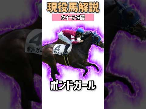 【現役馬解説】#28 ボンドガール 【クイーンS予想】#クイーンステークス2024 #競馬