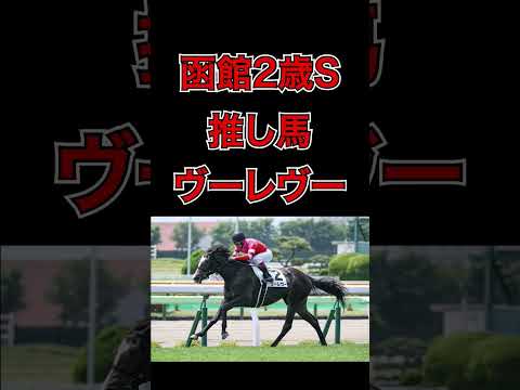 【函館2歳S予想】 #競馬 #競馬予想 #投資競馬 #中央競馬 #函館2歳ステークス #函館記念