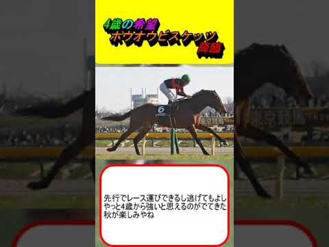 4歳の希望ホウオウビスケッツ降臨 #競馬 #競馬予想 #函館記念 #札幌記念 #毎日王冠 #天皇賞秋 #香港競走 #ベラジオオペラ #レーベンスティール #ソールオリエンス #タスティエーラ