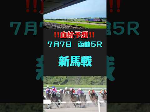 #競馬 #競馬予想 #血統 #血統予想 #競馬女子 #新馬戦 #新馬戦予想　#函館5R