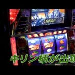 ほぼ毎日生配信　ライブ配信　スロット　スマスロ　北斗の拳　パチスロ　#パチスロ　#5号機　#宿命の刻　#ベトナム　#実践　#Sammy