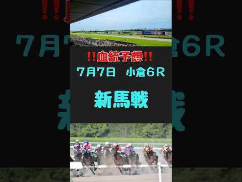 #競馬 #競馬予想 #血統 #血統予想 #競馬女子 #新馬戦 #新馬戦予想 #小倉6R