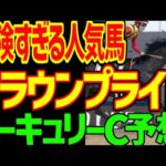 【マーキュリーC予想】クラウンプライドは復活するか？それとも終わっているのか？超難解なレース…メイショウフンジンを信じていいのか？2024年マーキュリーC予想動画【私の競馬論】【競馬ゆっくり】