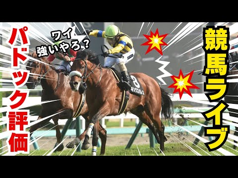 【競馬予想】先週はメインダブル的中！またブチ当てます！！ #七夕賞 #プロキオンS #競馬