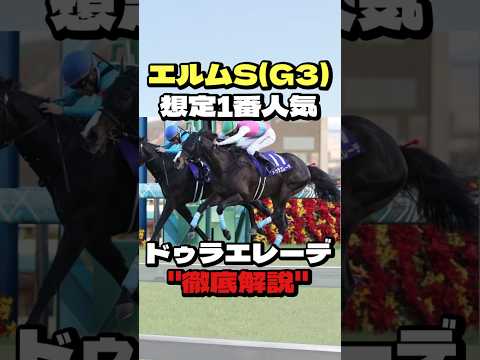 【エルムS(G3)】ドゥラエレーデ “徹底解説” #競馬 #競馬予想 #エルムs #エルムステークス #ドゥラエレーデ