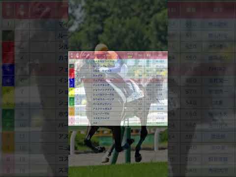 STV賞  直感予想！  札幌競馬場   第11レース