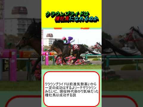 クラウンプライドは種牡馬になれるのか #競馬 #競馬予想 #競馬ニュース #コリアカップ #UAEダービー #スペシャルウィーク #リーチザクラウン #マーキュリーC #エミーズプライド #川田将雅