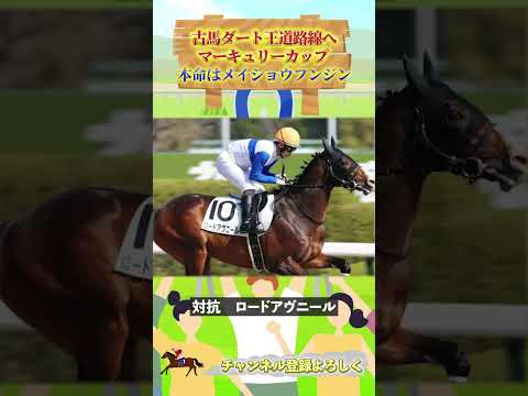 マーキュリーカップ予想：メイショウフウジン本命で夏を制覇！【競馬分析】#マーキュリーカップ #競馬予想 #メイショウフウジン #ロードアヴニール #ヒロシクン #競馬好き #地方競馬