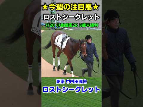 今週の【勝ち確定】の馬をご紹介　ロストシークレット　#競馬 #競馬予想 #中京記念 #小倉競馬