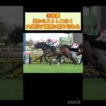 #競馬 #競馬予想 #中京記念