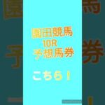 園田競馬予想してみたら…大的中の嵐だった！