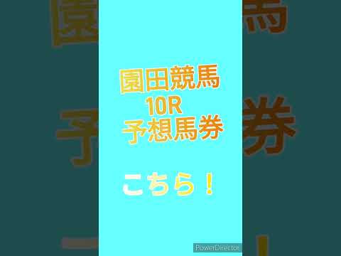 園田競馬予想してみたら…大的中の嵐だった！