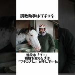 【ぶち壊しのブチコ】ブチコエピソード#競馬 #競馬予想 #ウマ娘