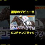 衝撃のデビュー!!ピコチャンブラック　#競馬 #競馬予想 #アイビスサマーダッシュ #クイーンステークス