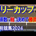 リリーカップ２０２４【門別競馬予想】少頭数でも難解なレース