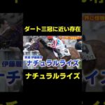 ダート三冠に一番近い存在か？ ナチュラルライズ　#競馬 #競馬予想 #アイビスサマーダッシュ #クイーンステークス