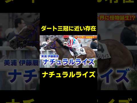 ダート三冠に一番近い存在か？ ナチュラルライズ　#競馬 #競馬予想 #アイビスサマーダッシュ #クイーンステークス