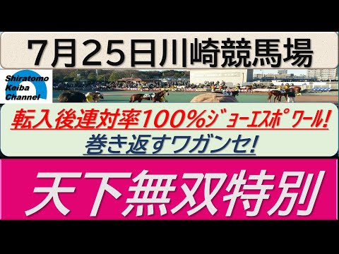 【競馬予想】天下無双特別！～２０２４年７月２５日 川崎競馬場 ：７－３５