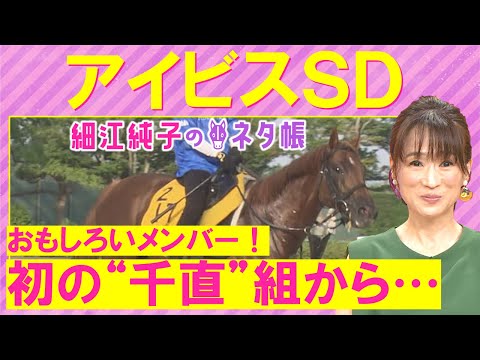 【３週連続注目馬が激走！】「今回１番のポイントはマウンテンムスメが…」チェイスザドリーム、ウイングレイテストなど快速馬が激突！アイビスサマーダッシュ(ＧⅢ)を徹底解説！＜細江純子のネタ帳＞