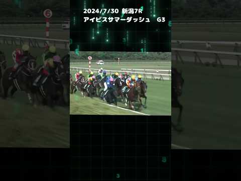 アイビスサマーダッシュ　もちおの当たらない予想　#競馬 #競馬予想 #アイビスサマーダッシュ