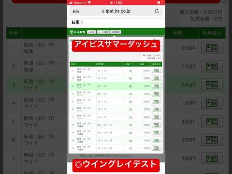 #競馬予想 #馬券 #新潟競馬 #アイビスサマーダッシュ #ウイングレイテスト