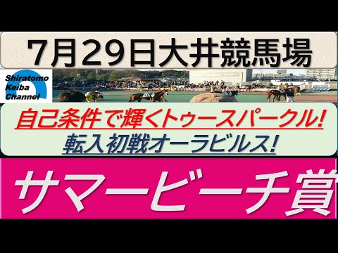 【競馬予想】サマービーチ賞！～２０２４年７月２９日 大井競馬場 ：７－４４