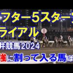 アフター５スター賞トライアル２０２４【大井競馬予想】権利を賭けた戦い！