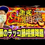 【ゴールデンカムイ】遂にラッコ鍋相撲引いたぞおおお！！！[スマスロ][スロット][パチスロ]