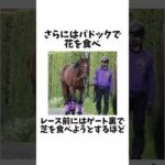 【ともに、見る夢】ドウデュースエピソード#競馬 #競馬予想 #ウマ娘