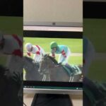 プロキオンステークス的中🎯😁ルーレット競馬予想