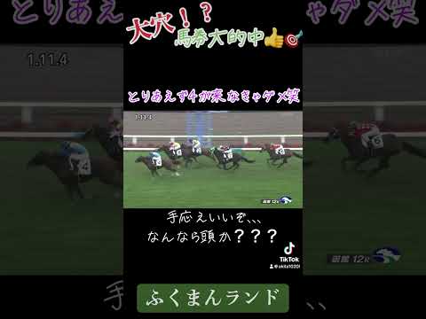 【競馬】七夕に三連単大的中🎯:ふくまんランド