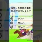 【競馬クイズ】これであなたも競馬通！ #競馬 #クイズ #競馬予想 #競馬初心者 #競馬好きな人と繋がりたい #ウマ娘