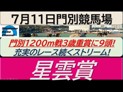 【競馬予想】星雲賞！～２０２４年７月１１日 門別競馬場 ：７－１３