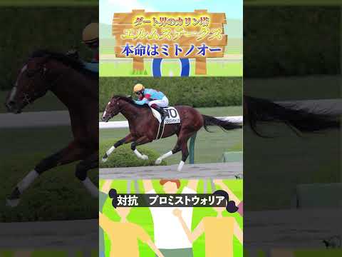 エルムステークス大胆予想：ミトノオーで100万円狙い！#競馬予想 #エルムステークス #ミトノオー #プロミストウォリア #ドゥラエレーデ #三連単 #競馬ファン #高配当狙い