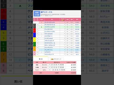 中京競馬場 メインレース 瀬戸ステークス を予想します #競馬 #予想 #競馬予想 #買い目 #中京11r #中京競馬 #中京競馬場 #瀬戸ステークス #jra #メインレース #夏競馬