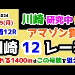 【川崎競馬研究中😏】荒れる1400mはこの号族を狙え😤 【2024.8.5 川崎12R アマゾン賞 (C2)】