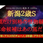 【 有力馬診断 】新潟2歳ステークス 2024 予想 １頭だけ別格の怪物級！！本命候補はあの馬だ！！【中央競馬予想】