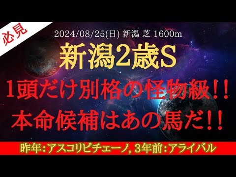 【 有力馬診断 】新潟2歳ステークス 2024 予想 １頭だけ別格の怪物級！！本命候補はあの馬だ！！【中央競馬予想】