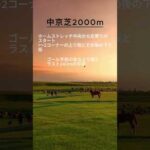 【競馬豆知識】中京競馬場芝2000mコースの特徴を解説！ #競馬 #中京競馬場 #競馬予想 #傾向 #血統 #小倉記念2024 #金鯱賞 #ディープモンスター #プログノーシス #ドゥレッツァ