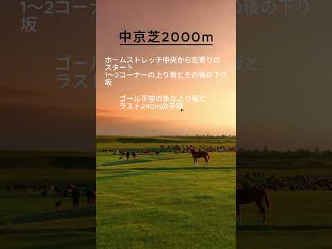 【競馬豆知識】中京競馬場芝2000mコースの特徴を解説！ #競馬 #中京競馬場 #競馬予想 #傾向 #血統 #小倉記念2024 #金鯱賞 #ディープモンスター #プログノーシス #ドゥレッツァ