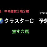 【地方競馬予想】　地方交流重賞　クラスターカップ　2024  予想